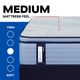 Sealy® Posturepedic® Plus Hagerstown 15" Wrapped Coil Medium Euro Pillow Top Twin Mattress-4