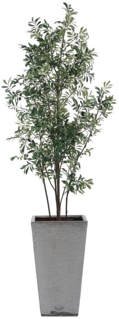 Uttermost® Sonora Gray/Green Olive Tree in Planter-2