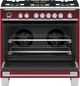Fisher & Paykel 36" Red Pro Style Dual Fuel Range-2