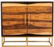 Coaster® Zara Black Walnut/Gold 2-Door Accent Cabinet-0