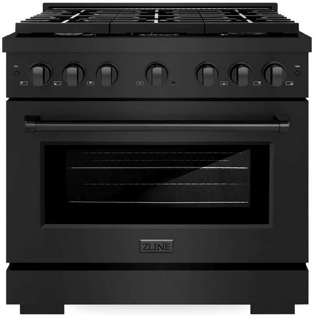 ZLINE Paramount Black Stainless Steel Freestanding Dual Fuel Range ...