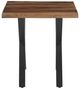 Porter International Designs Manzanita Harvest End Table with Black Y Base-1