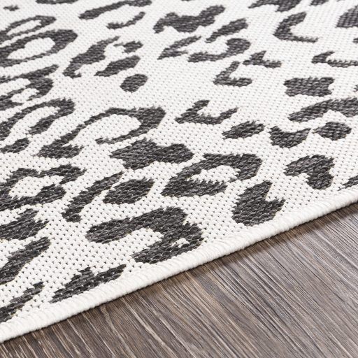 Surya Eagean Multi-Colored 9'x12' Area Rug-4