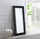 ACME Furniture Dara Black Floor Mirror-1