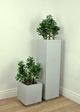Le Present Jade Green 24" Faux Botanical Plant-4