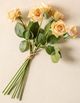 Magnolia Home by Joanna Gaines Peach Real Touch Rose Bundle-1