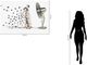 Classy Living Dalmation Wall Art-2