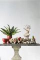 A & B Home Beige Medium Clam Shell Decorative Object-1