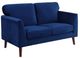Mazin Furniture Tolley Blue Loveseat-0