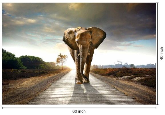 Classy Living Elephant Journey Wall Art-2