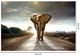 Classy Living Elephant Journey Wall Art-2