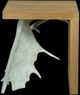 Century® Grand Tour Furniture Open Sky Natural Accent Table-2