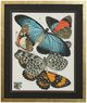 Stylecraft Butterfly I Wall Art-0