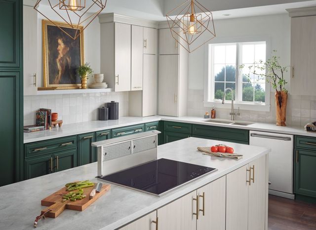 Broan® Elite 30" Stainless Steel Downdraft Range Hood-1