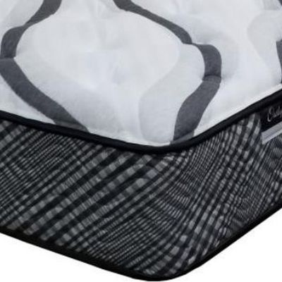 Spring Air® Presidential Premium Cleveland Innerspring Plush Tight Top Queen Mattress-1