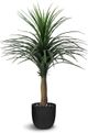 Le Present Yucca Green Faux Botanical-0