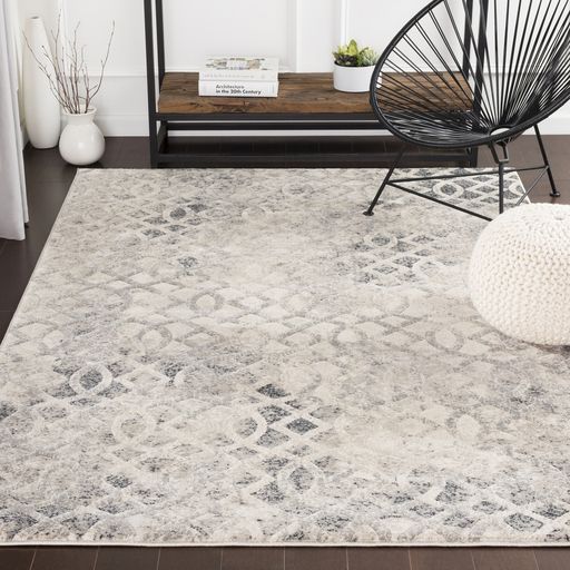 Surya Cash Gray 8'x10' Area Rug-3