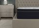 Symbol® Luxury Mynah 15" Wrapped Coil Plush Euro Top Queen Mattress-4