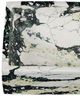 Currey & Company Fossey 2-Piece Black/White Asymmetrical Tray Set-3