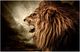 Classy Living Hear me Roar Wall Art-0
