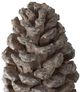 A & B Home Brown Pinecone Table Decor-3