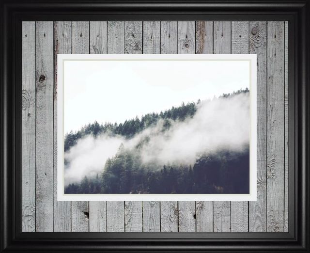Classy Art Foggy Forest I by Sisi and Seb Wall Art-0
