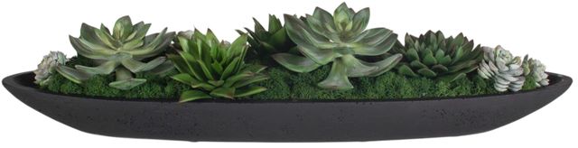 Uttermost® Verde Black/Green Succulent Centerpiece in Bowl-2