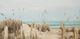 Stylecraft White Moon Over the Blue Ocean Wall Art-2