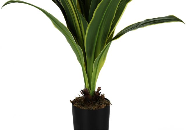 Monarch Specialties Inc. Black 47" Artificial Potted Dracaena Tree-1