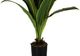 Monarch Specialties Inc. Black 47" Artificial Potted Dracaena Tree-1