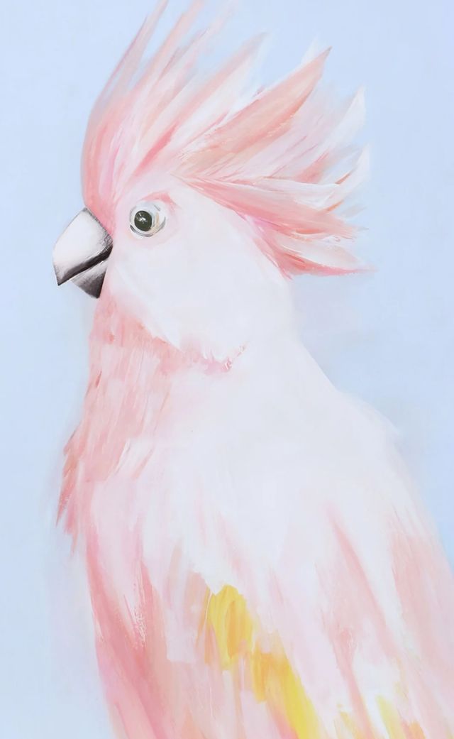 Stylecraft Tamara Day Pink Cockatoo in Soft Pastels Wall Art-1