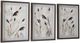 Signature Design by Ashley® Honslow 3-Piece Brown/Black/White Wall Art Set-1