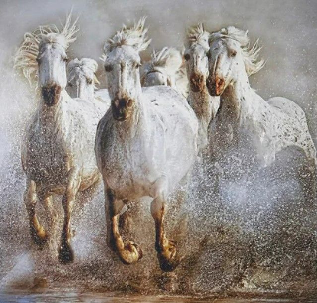 Stylecraft Wild Stallions Brown/Gray/White Wall Art -1