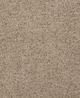 Coaster® Octavia Camel Ottoman-4
