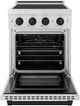 ZLINE Autograph Edition Paramount 24" Satin Stainless Steel Pro Style Induction Range with Matte Black Accents-1