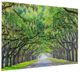 YHD Savannah Wall Art-1