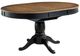 Signature Design by Ashley® Loganeer Brown Dining Table with Black Base-0