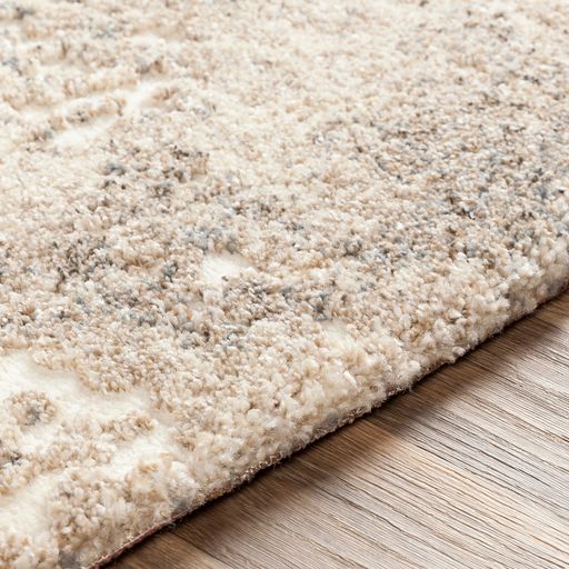 Surya Tuscany Beige 9'x12' Area Rug-4