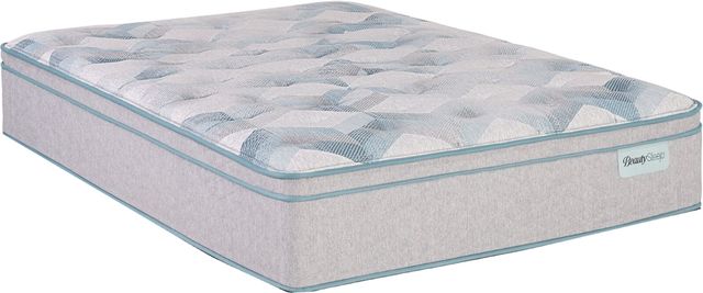 BeautySleep® Dream Weaver™ 14.25" Pocketed Coil Medium Pillow Top Queen Mattress-0