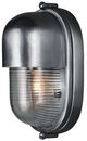 Currey & Company Maritime Clear/Silver Outdoor Wall Sconce-1