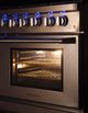 VEZENI Randolph 48" Stainless Steel Pro Style Gas Range-4