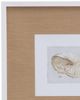 Bassett Mirror Neutral Shell Fresco I Framed Print-1