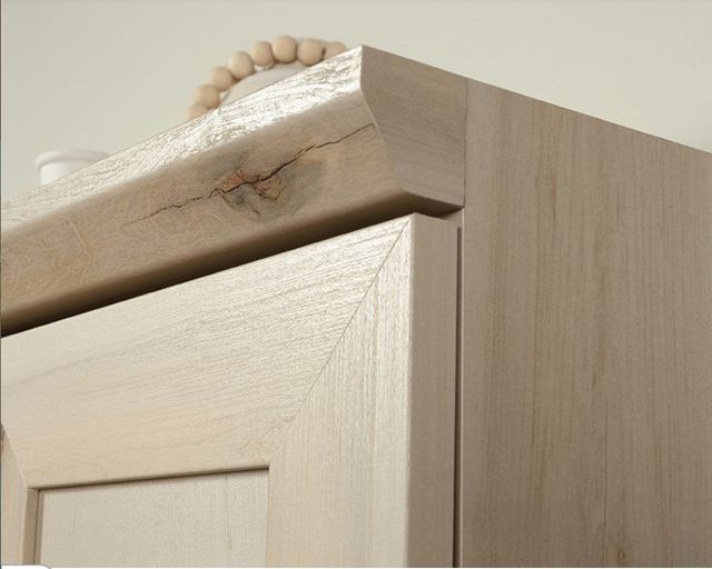 Sauder® HomePlus Pacific Maple® Door Storage Cabinet-3