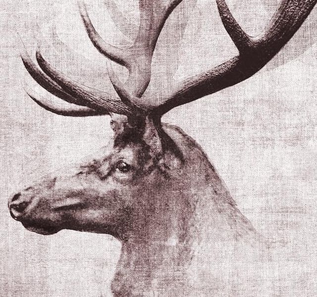 Classy Art Open Range II by John Butler Wall Art-1