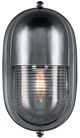 Currey & Company Maritime Clear/Silver Outdoor Wall Sconce-2