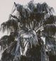 Stylecraft Black/Light Gray Wall Art-1