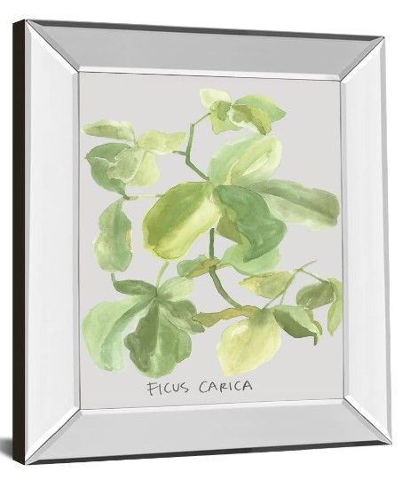 Classy Art Ficus Carica by Katrien Soeffers Mirror Framed Wall Art-1