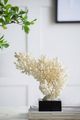 A & B Home White Coral Decorative Object-3