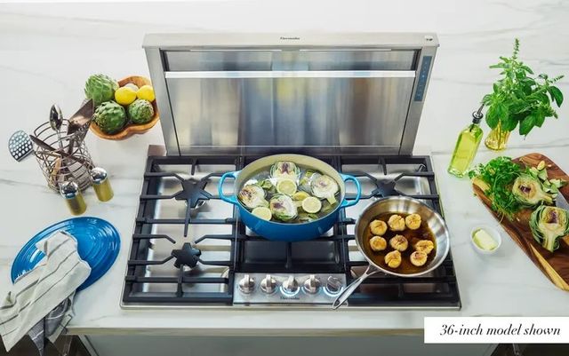 Thermador® Masterpiece® 31" Stainless Steel Downdraft Range Hood-3