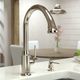 Hansgrohe Talis C Polished Nickel High Arc 2-Spray Pull-Down Kitchen Faucet-3